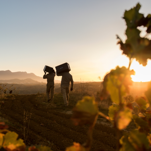 Rioja, Spain