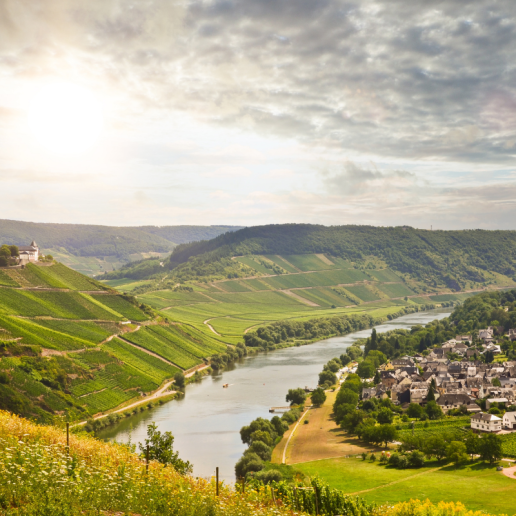 The Mosel, Germany