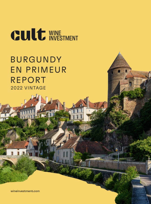 CWI 2024 Burgundy Investment Report 2022 Vintage Cover 650
