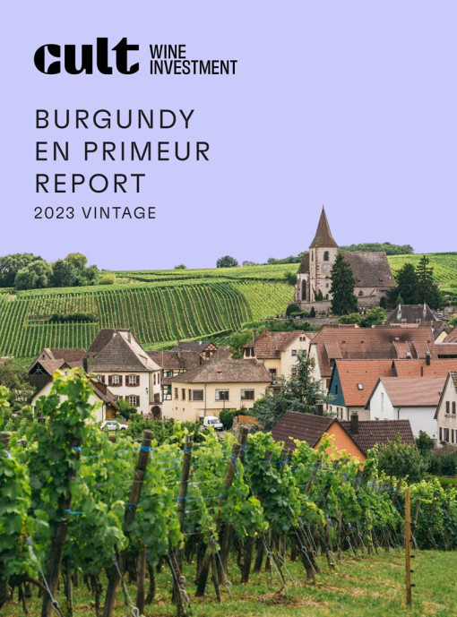 CWI Burgundy En Primeur Report 2023 Vintage Cover v3