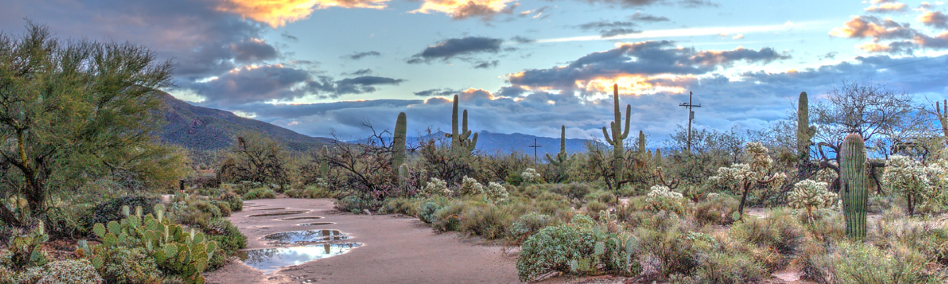 AZ Desert Hero Size