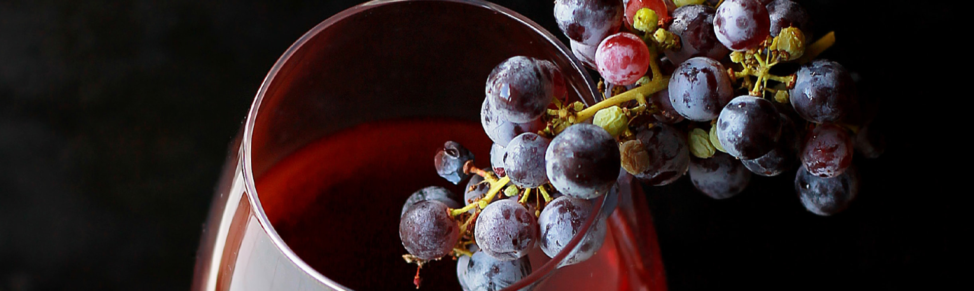 CWI 01022023 BurgundyClassifications Blog Hero