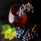 CWI 01022023 BurgundyClassifications Blog Thumb