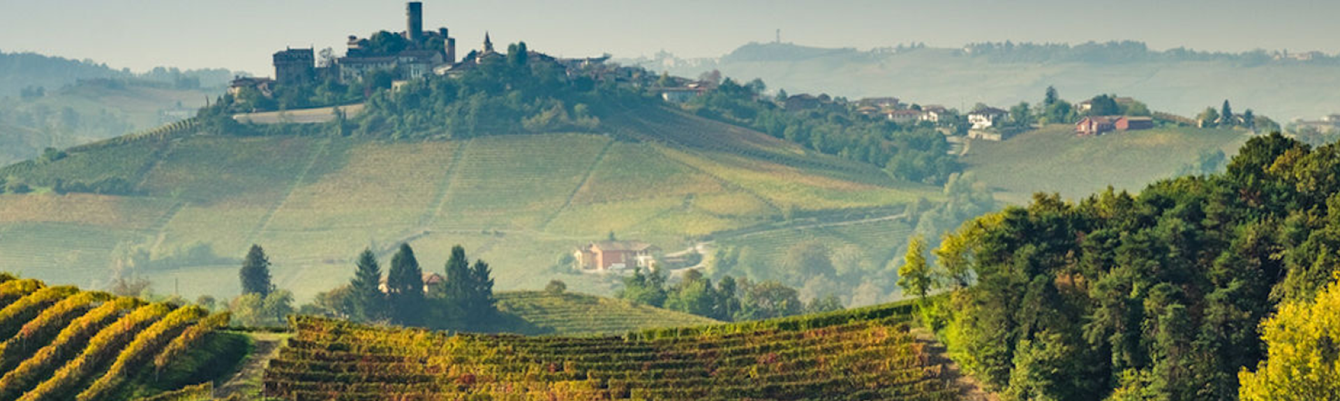 CWI 16022023 Barolo2019Vintage Hero