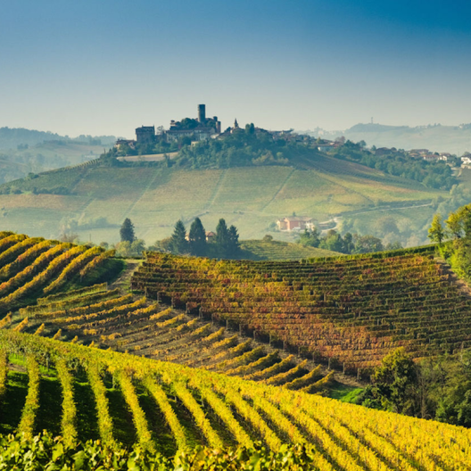 CWI 16022023 Barolo2019Vintage Thumb