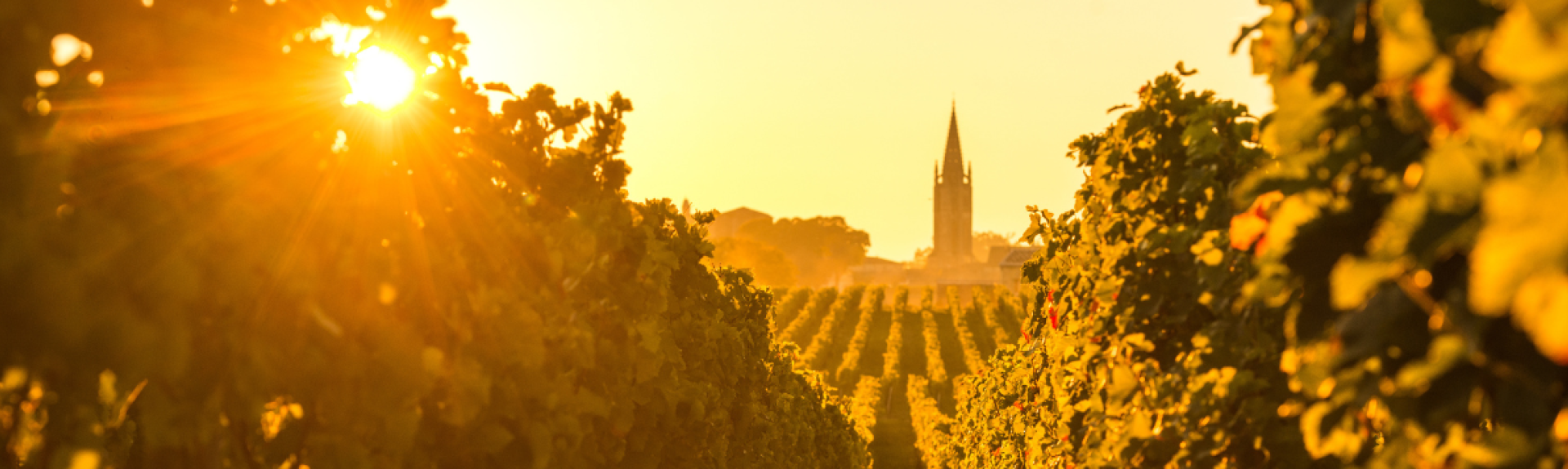 CWI 20042026 Article BDXEP25 Hero