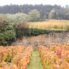 CWI 23012023 ValueBurgundy Thumb