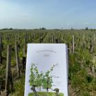 CWI 23042026 Article BDXEP25 Day3 List