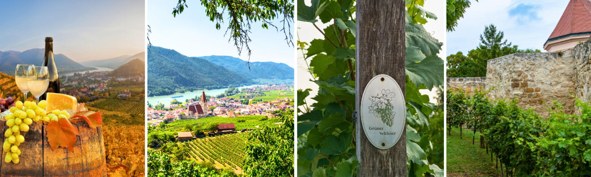 CWI 28082026 FWF AustrianWine Herov3