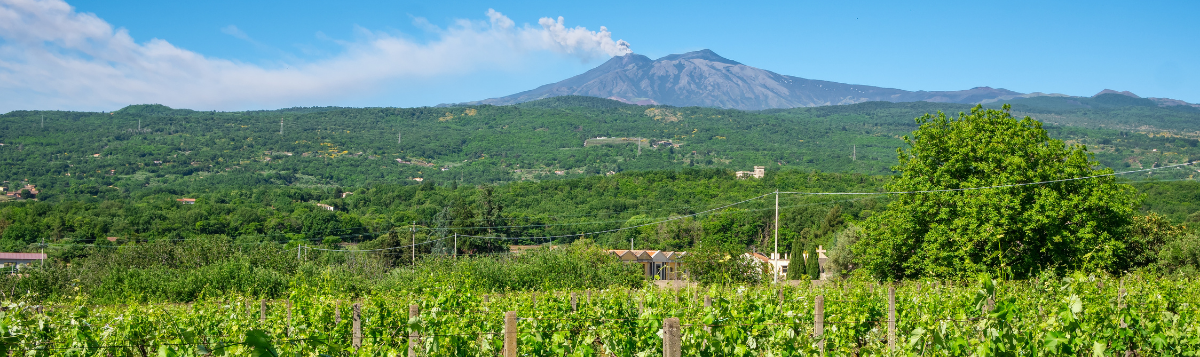 Etna Nears DOCG: What Changes for Collectors