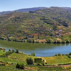 Porto and the Changing Face of Port   List