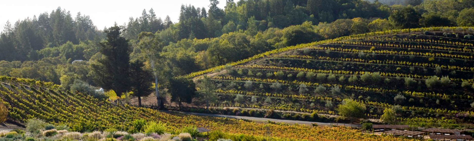 US Chardonnay Hero Size