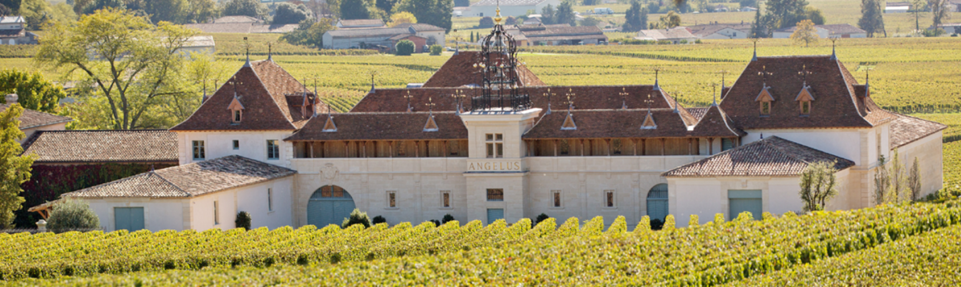 angelusoutofstemillion