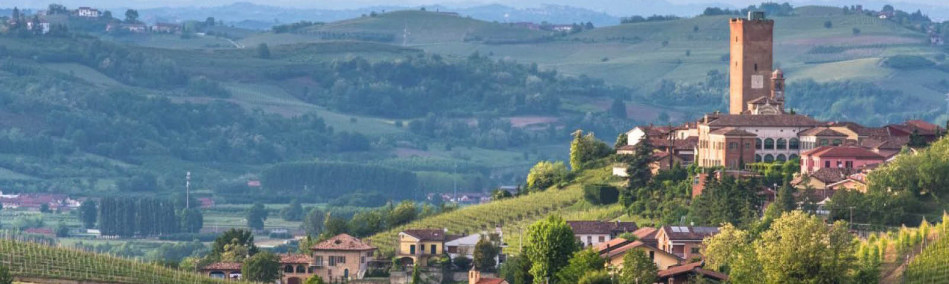 barbaresco 1