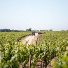 bdx2023 first 800