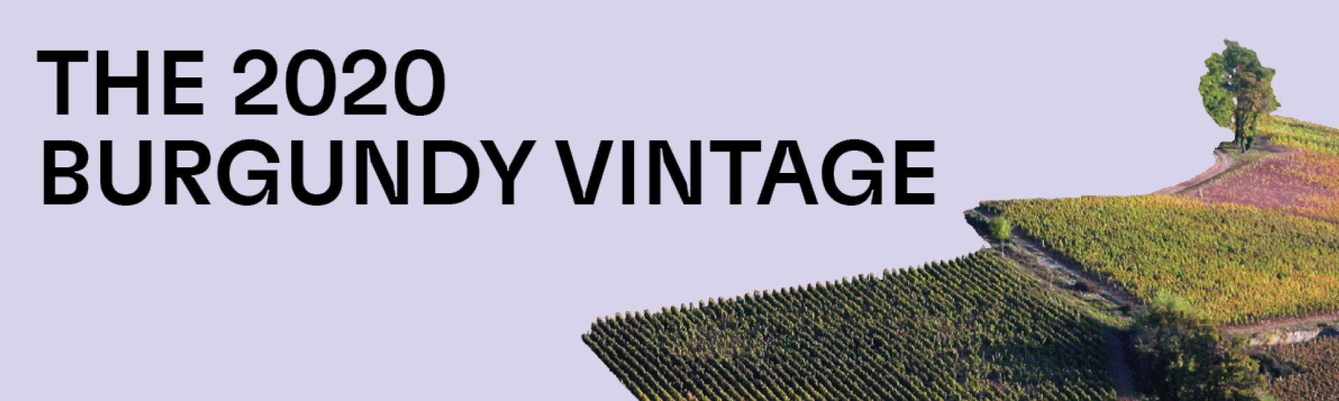 burg2020vintageblog