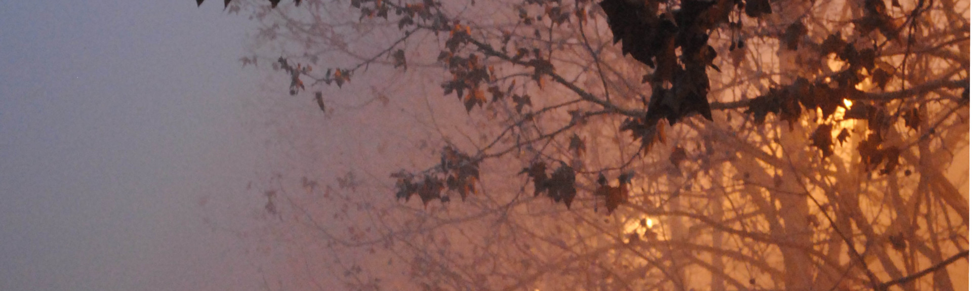 burg climate change v3