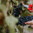 resource placeholder