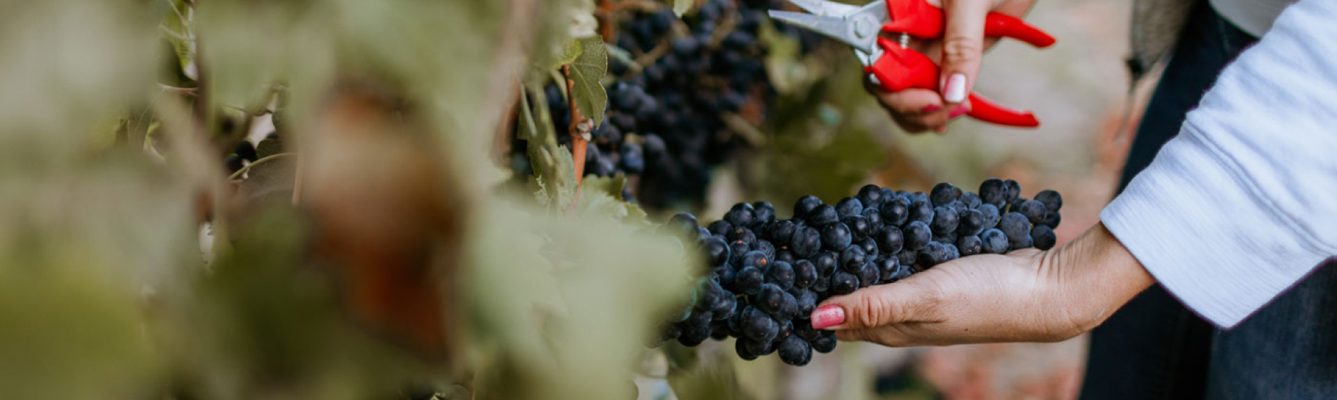 resource placeholder