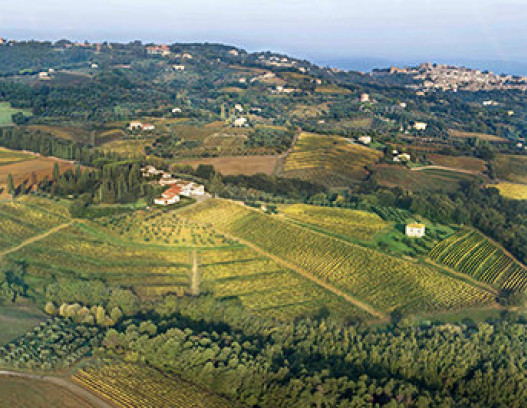 Biondi Santi tn