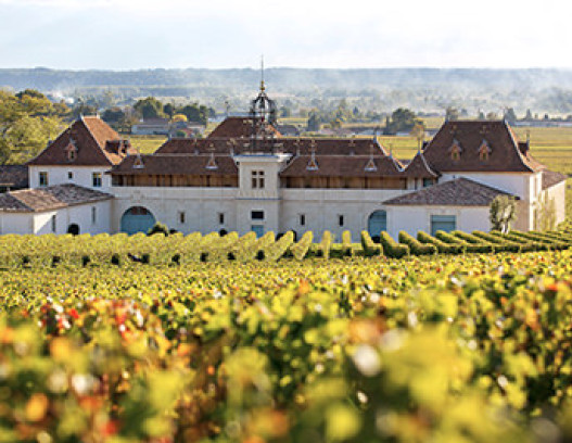 Chateau Angelus tn