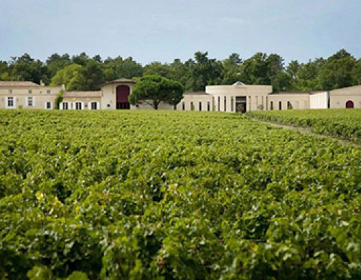 Chateau Domaine de Chevalier tn