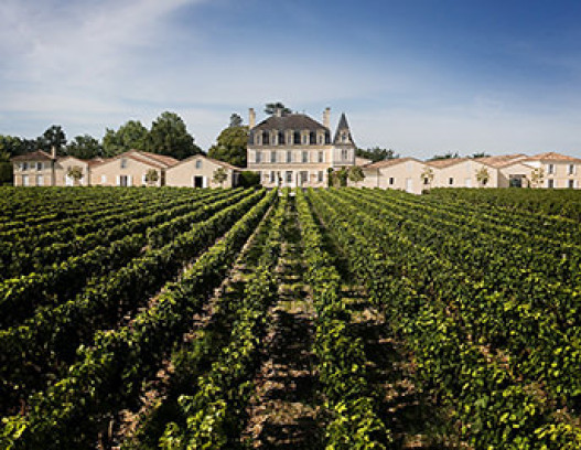 Chateau Grand Puy Lacoste tn
