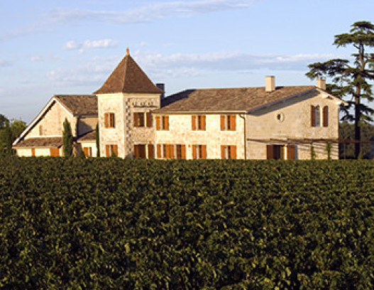 Chateau La Mondotte tn