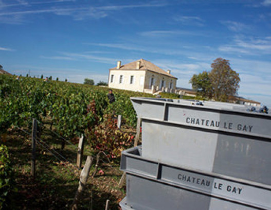 Chateau Le Gay tn
