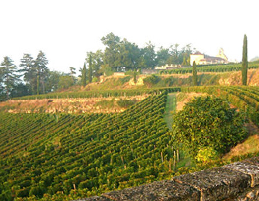 Chateau Le Tertre Roteboeuf tn