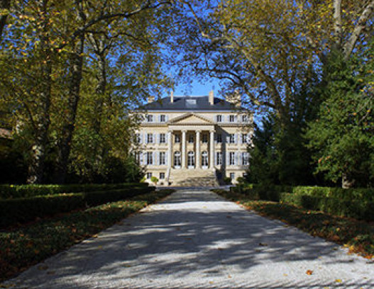 Chateau Margaux tn