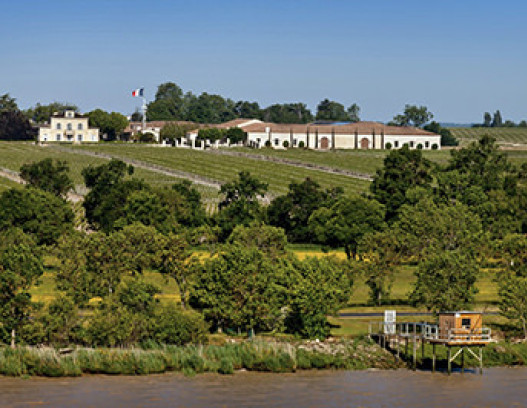 Chateau Montrose tn
