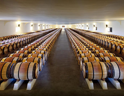 Chateau Mouton Rothschild tn