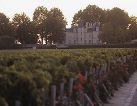 Chateau Pichon Lalande tn