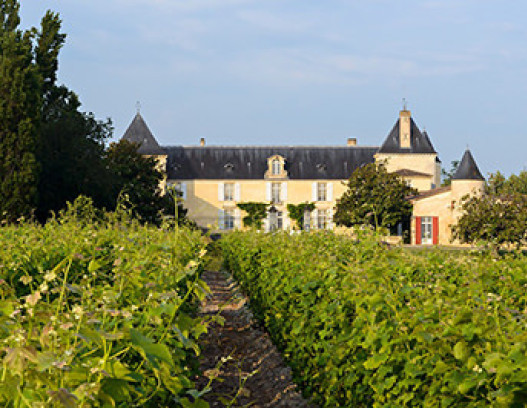 Chateau Suduiraut tn