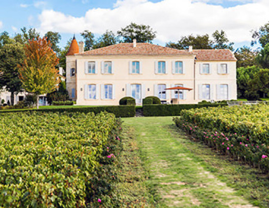 Chateau Troplong Mondot tn