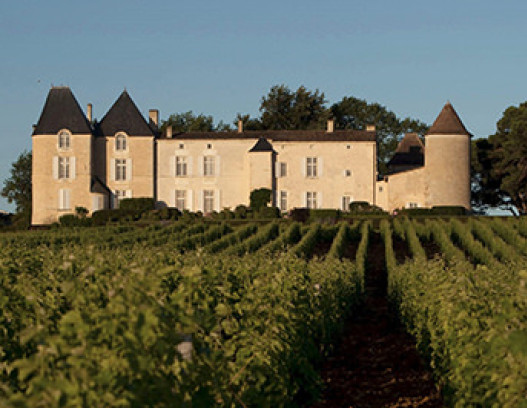 Chateau dYquem tn