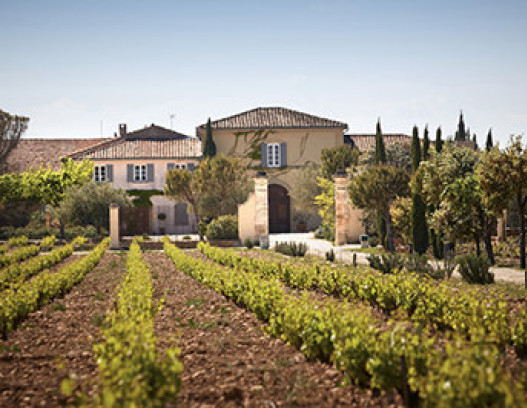 Chateau de Beaucastel tn