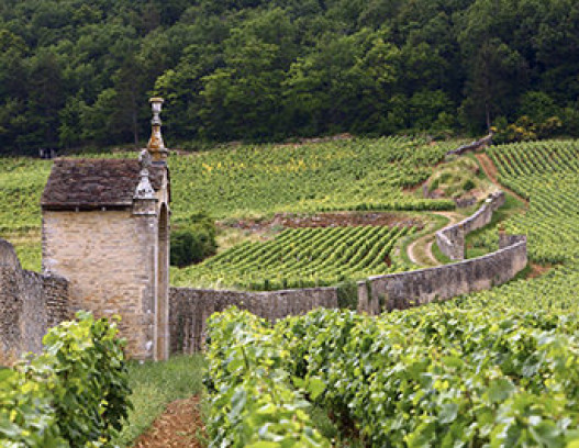 Domaine Armand Rousseau tn