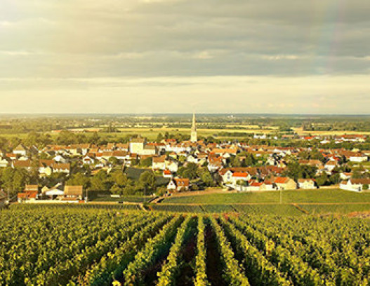 Domaine Coche Dury tn