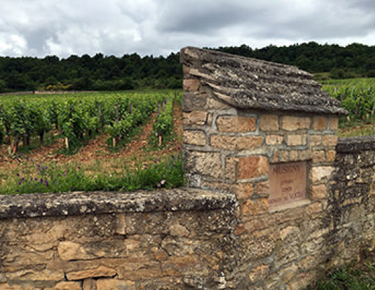 Domaine Comte de Vogue tn