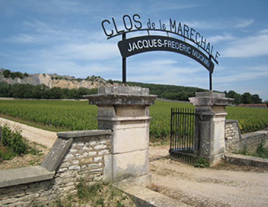 Domaine Jacques Frederic Mugnier tn