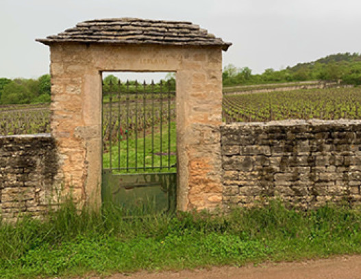 Domaine Leflaive tn