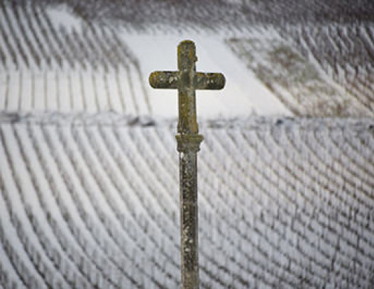 Domaine de la Romanee Conti tn