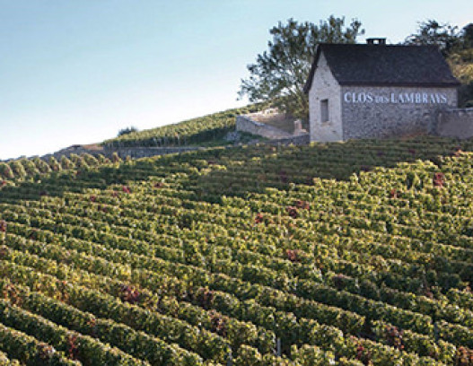 Domaine des Lambrays tn