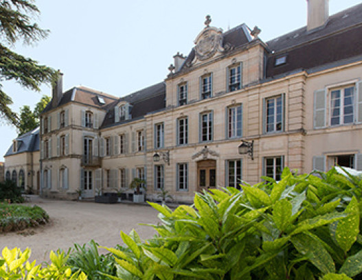 Domaine du Comte Liger Belair tn