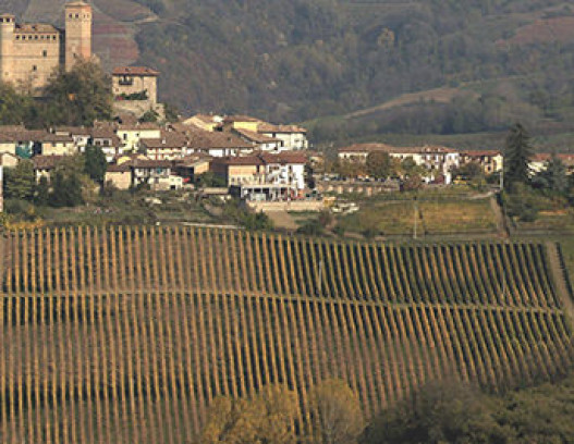 Gaja tn