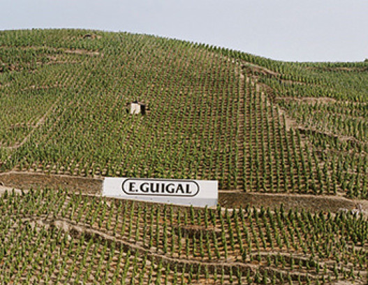 Guigal tn