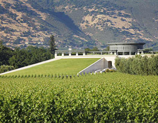 Opus One tn
