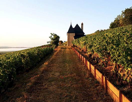 Ponsot tn